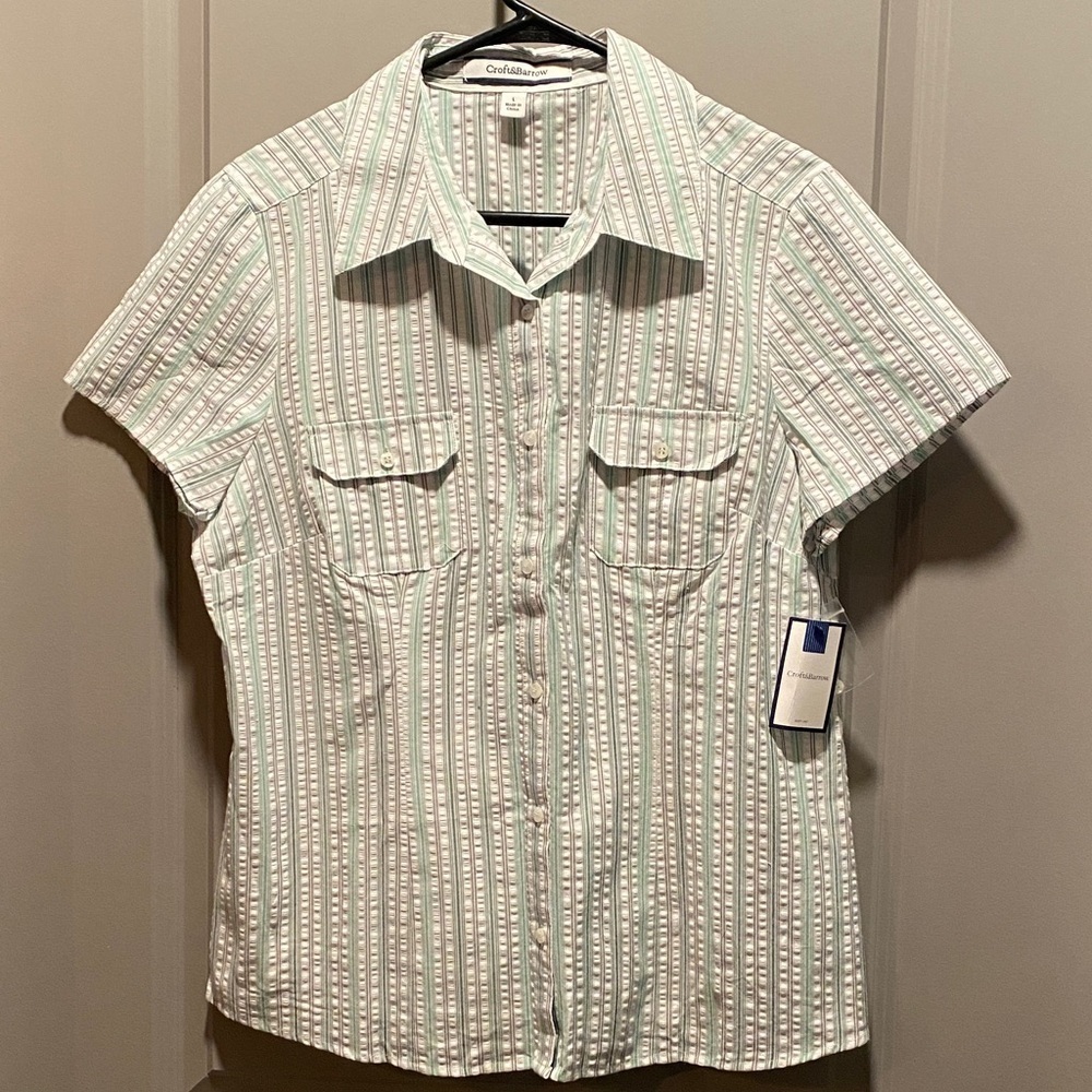 Croft & Barrow Mint Stripe Shirt Cotton Button Down Casual Work Top NWT L